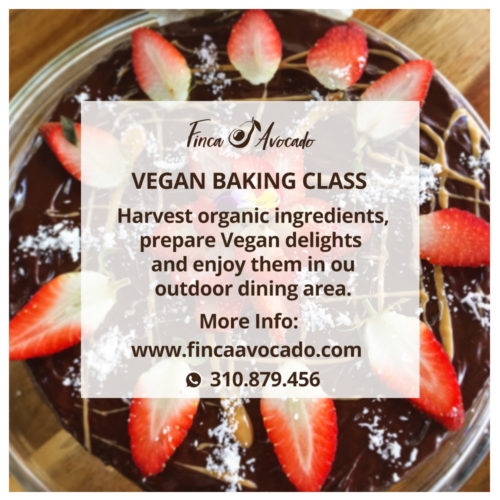 Vegan Baking Class